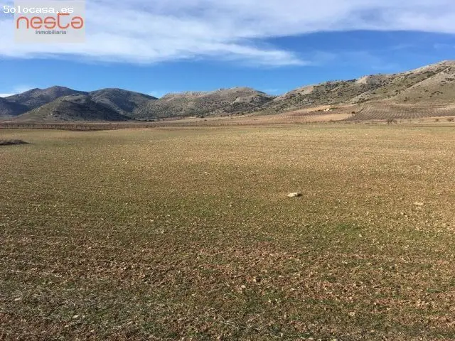 Venta Finca 245 Ha Chirivel Almendros Ecológicos Alta Rentabilidad