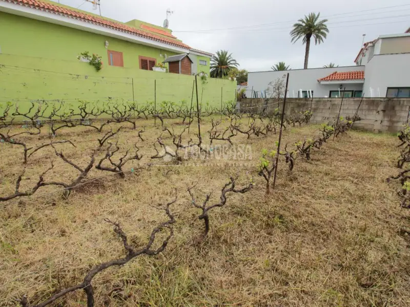 Terreno en Venta Tacoronte 278m2 Ideal para Construir