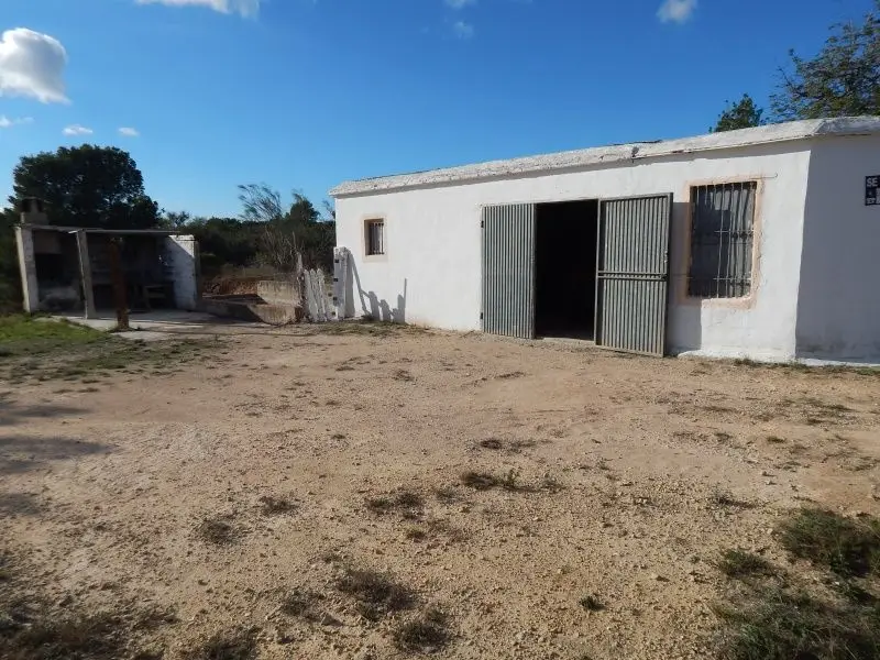 Venta Terreno Torrent 13312m2 Cultivo Caseta