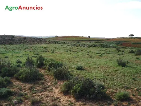 Venta  de Terreno de secano en Soria