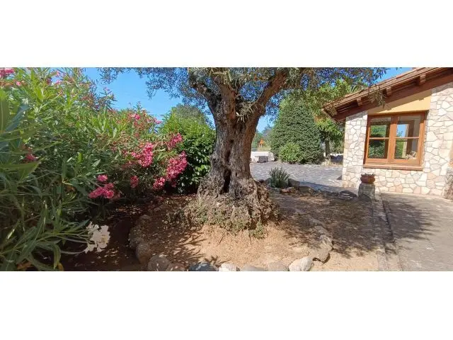 Restaurante en Alquiler en Gualba de Baix Sin Traspaso