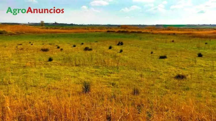 Venta  de Finca de regadío en Huesca