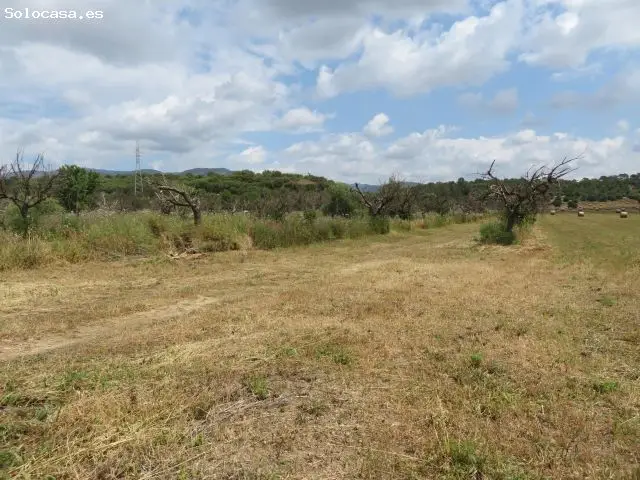 Finca Rústica En Marratxi Edificable