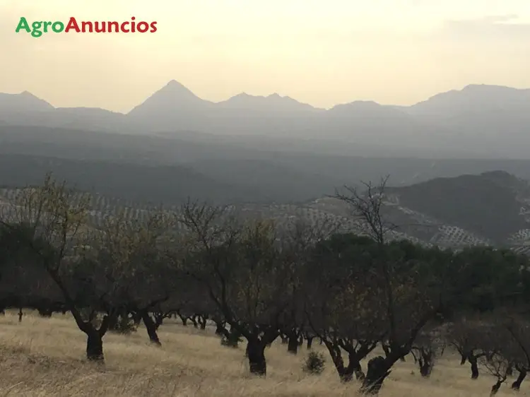 Venta  de Finca rústica en Granada