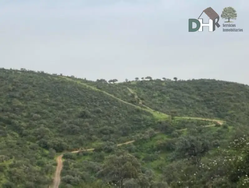 Venta Finca Rustica 550 Hectareas Jaen Caza Ganaderia