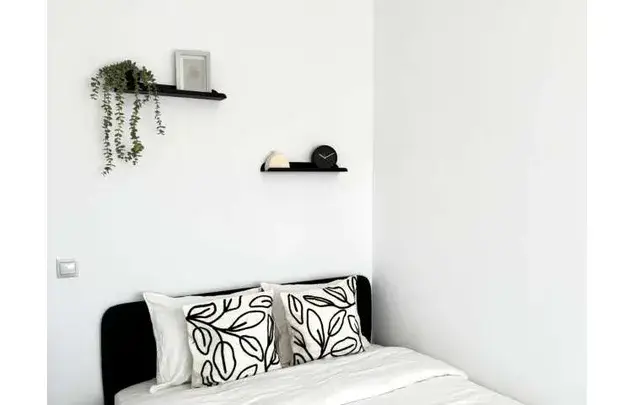 Alquiler Habitaciones Amuebladas Madrid Paseo Castellana