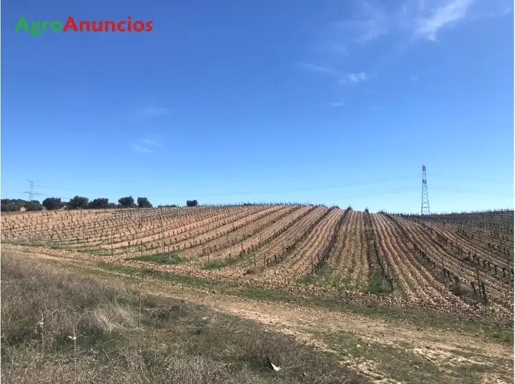 Venta  de Finca de regadío en Madrid