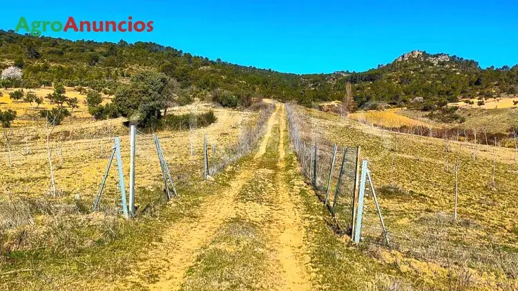 Venta  de Finca de caza en Guadalajara