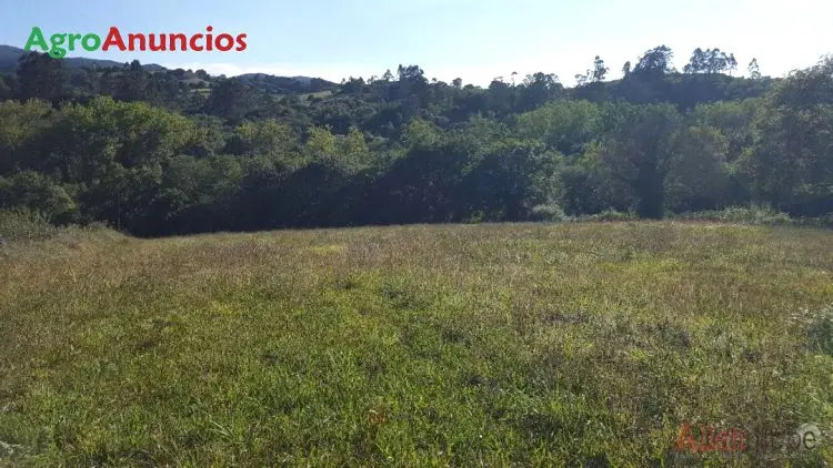 Venta  de Finca rústica en llanera en Asturias