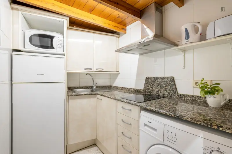 Apartamento con Terraza Compartida WIFI Incluido No Mascotas