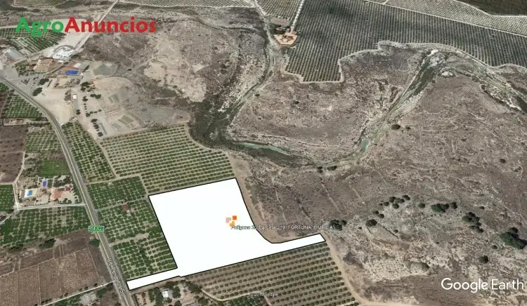 Venta  de Finca de limoneros verna en Murcia