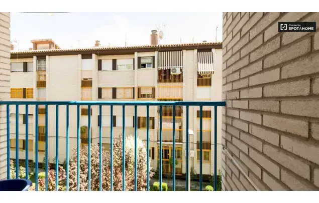 Alquiler Habitacion Apartamento 3 Dormitorios Granada