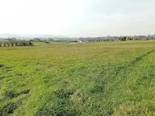 Venta Finca Rustica Colunga Asturias