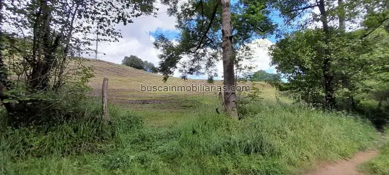 Parcela Rustica en Venta Rasines 10000m2 Construccion Posible