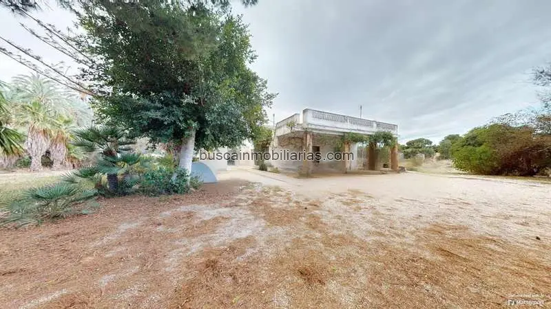 Casa de Campo en Elche para Reformar 9525m2