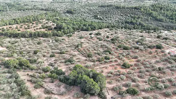 Finca Rustica cerca de L'Ametlla de Mar 456ha
