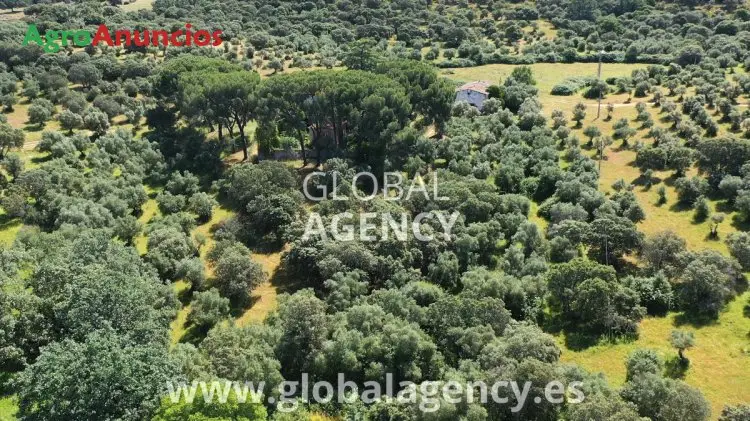 Dehesa con Cortijo y Convento en Caceres