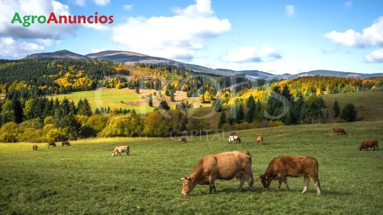 Venta  de Finca de recreo en Huesca