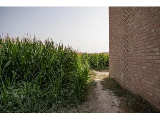 Terreno Agricola en Las Gabias 2512m2