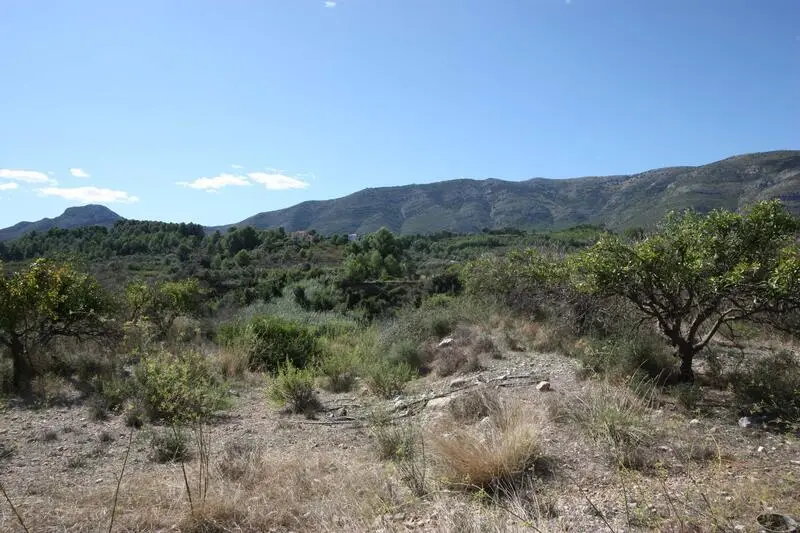 Parcela 25000m2 Murla Vistas al Valle