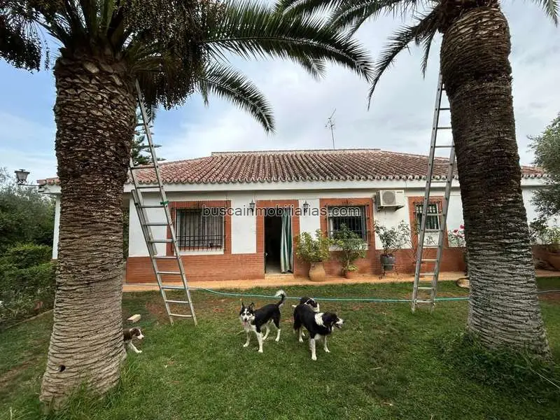 Chalet en Venta Mairena del Alcor 5 Dormitorios Piscina Jardin