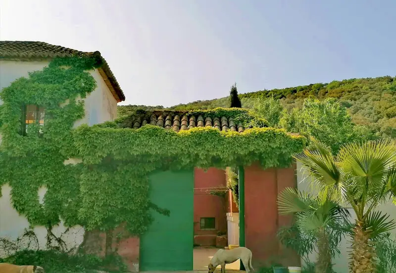Cortijo Rustico en Venta: Gran Finca con Posibilidad Ecuestre