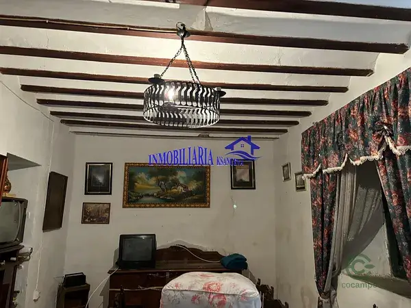 Finca de Olivar 6ha con Cortijo en Cordoba