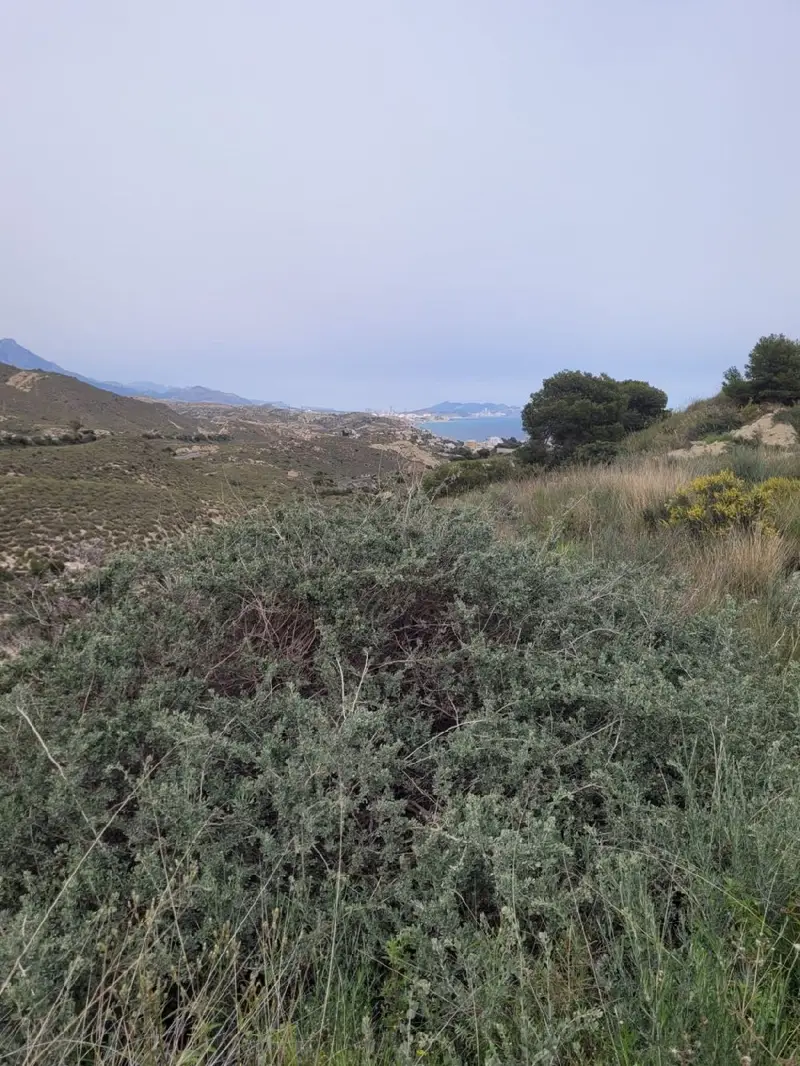 Venta Terreno 1040m2 El Campello Vistas al Mar