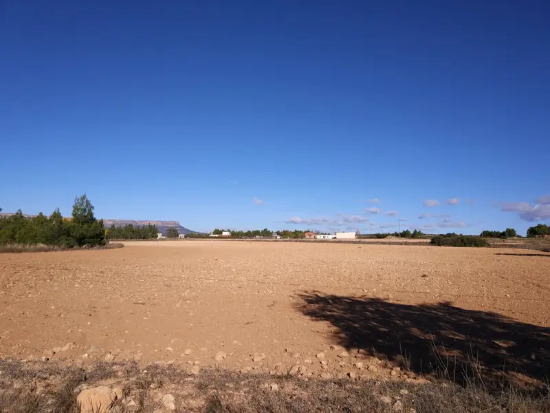 Venta Parcela Sugel Almansa 10000m2