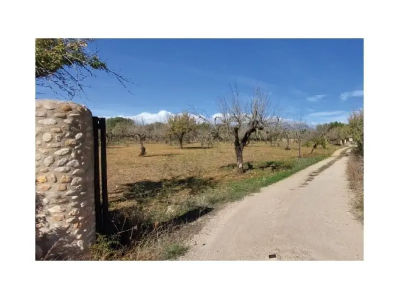 Casa Rural en Buget Mallorca 4 Habitaciones Ensuites