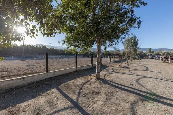 Casa Hacienda Rustica en La Zubia 1254m2 construidos 3165m2 parcela