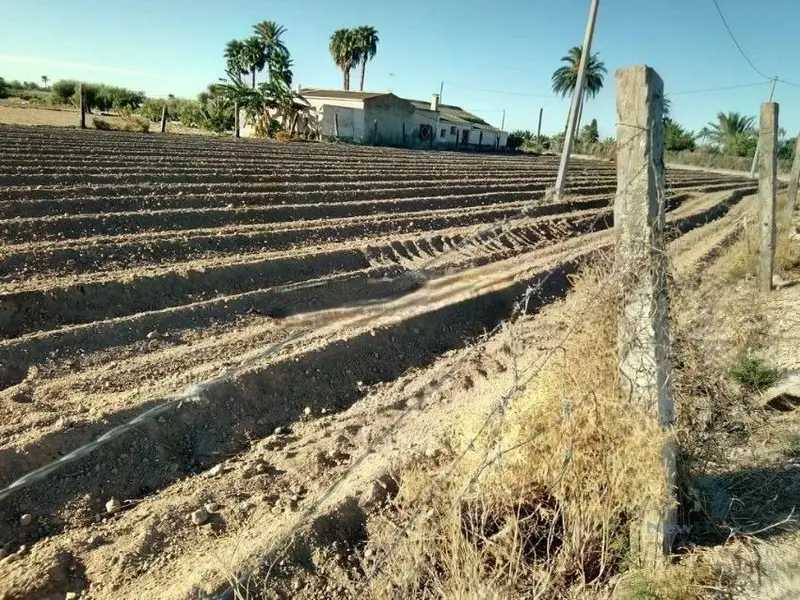Venta Terreno Matola Sector V Elche