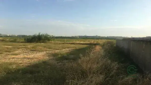 Fincas Agrícolas en Zaragoza 125364ha