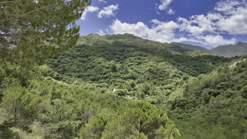 Fincas Rústicas en Venta Coín Alhaurín 700000m2