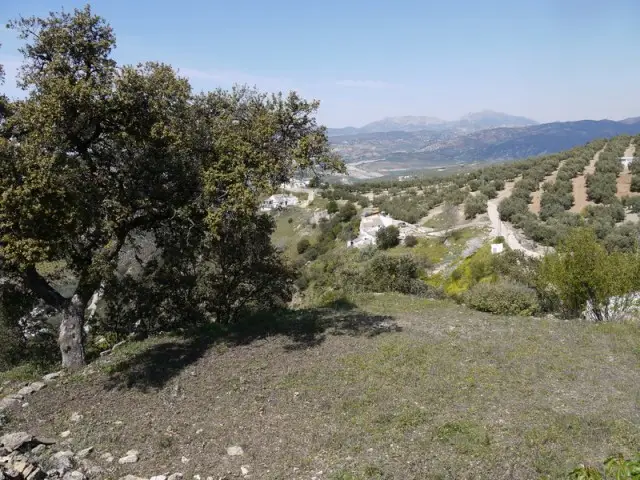 Terreno en venta La Fuente-Del-Conde, España