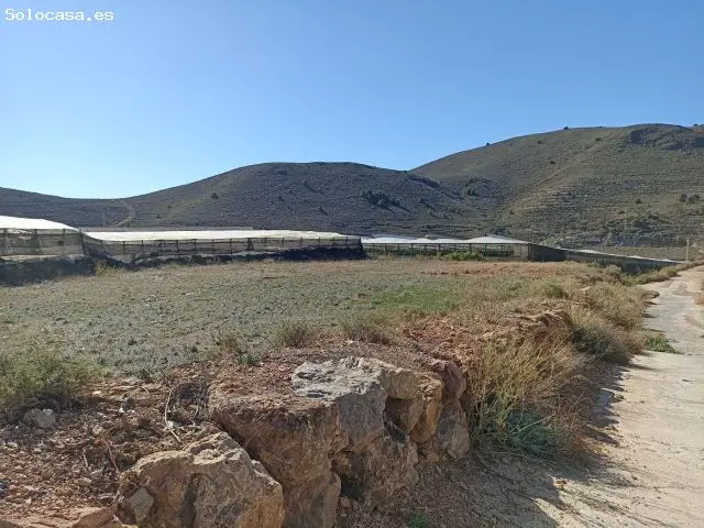 Terreno Rustico en Venta Dalias 5427 m2