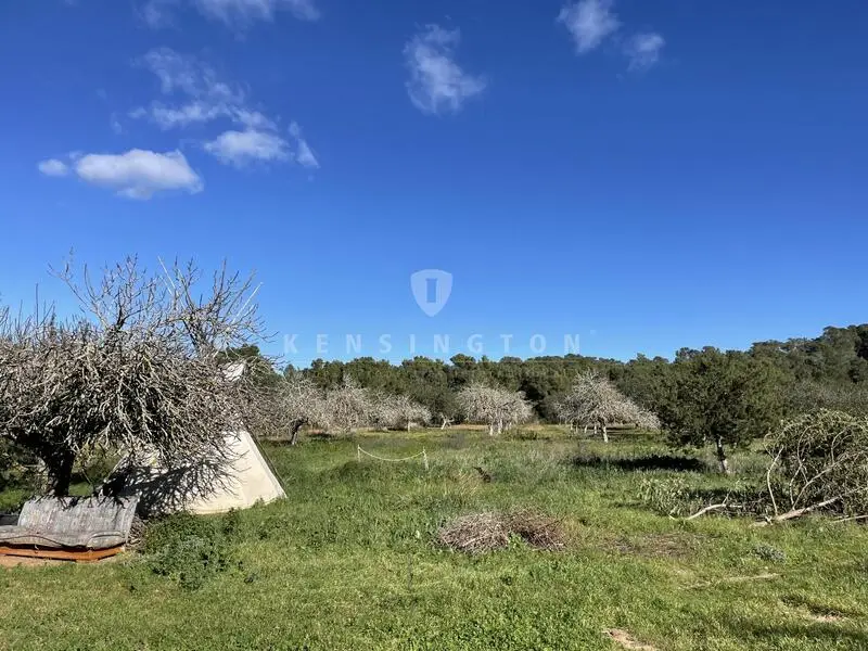3 Casas de Campo en Cala San Vicente Ibiza