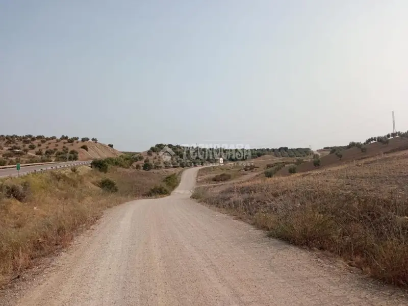 Terrenos en venta en Finca del Sabinar