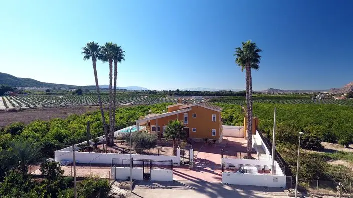 Finca 5 Dormitorios Orihuela Venta Piscina Jardin