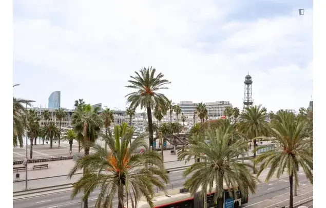 Apartamento 3 Dormitorios Barcelona Alquiler 3-24 Meses