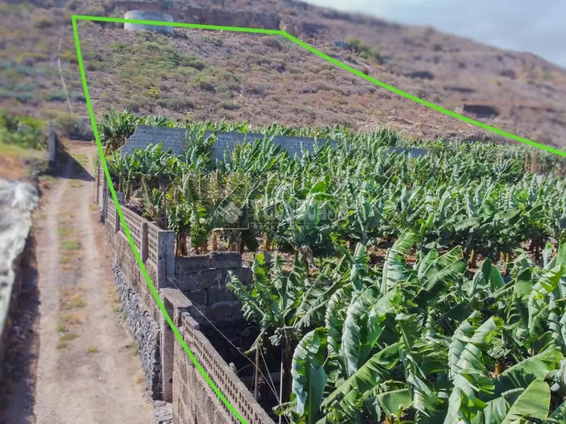 Terreno Agricola Buenavista Platanera 10300m2 Alta Rentabilidad