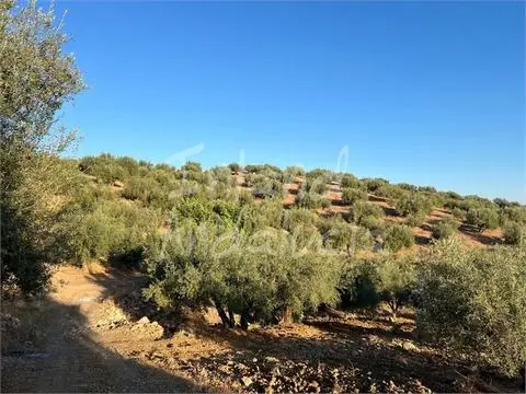 Terreno en venta Periana, España