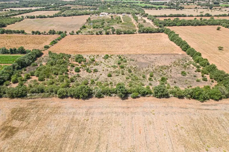 Venta Terreno Urbanizable Felanitx 15151m2 Vistas Panoramicas