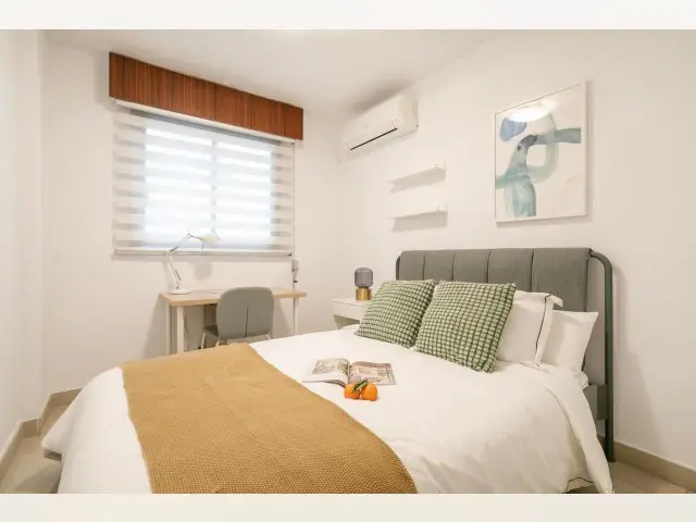 Habitacion Alquiler Alicante Coliving Estudiantes