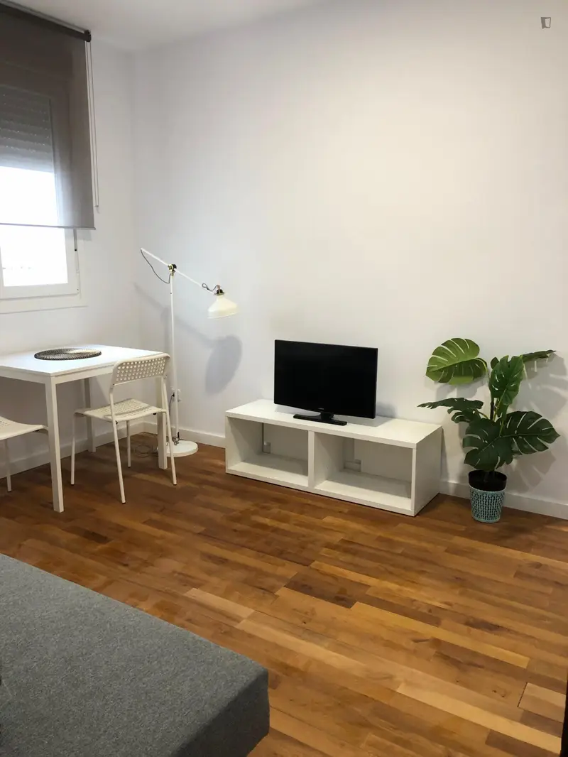 Luminoso Apartamento Argüelles Recien Reformado