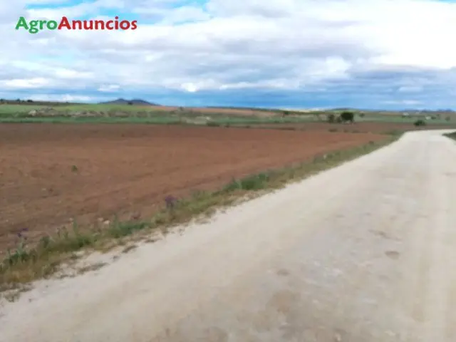 Venta  de Finca rústica a pie de carretera en Toledo