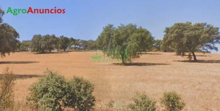 Venta  de Finca ganadera con nave en Badajoz