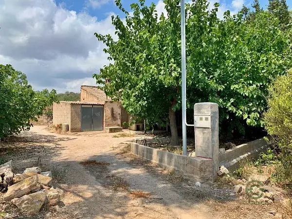 Finca Rustica 20 Hectareas Roquetes Cultivo Citricos