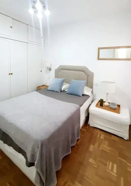 Apartamento 1 Dormitorio Madrid Alquiler