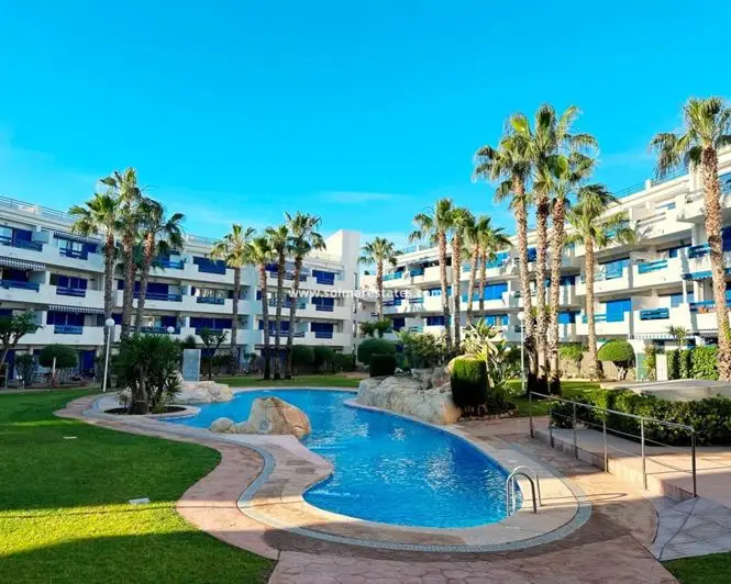 Apartamento 2 Dormitorios Playa Flamenca Cerca del Mar